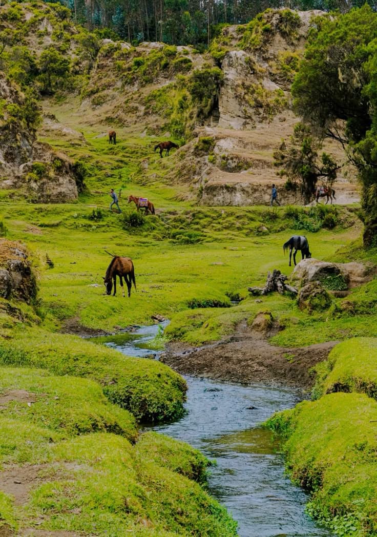 Day 2: Horse Hike & Departure